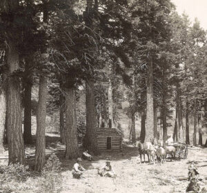 South Lake Tahoe | South Tahoe | South Shore Lake Tahoe Views