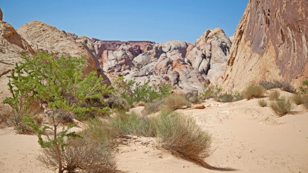 white domes hike