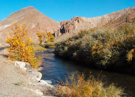 Near Walker River Resort