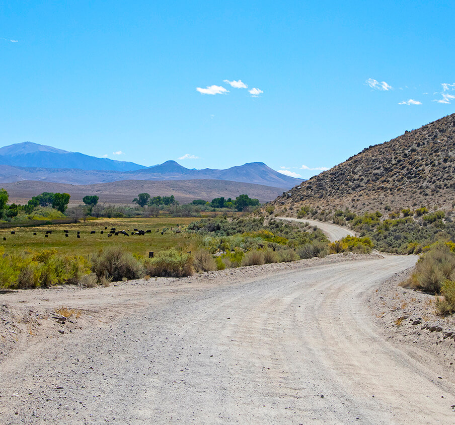  Yerington Trails