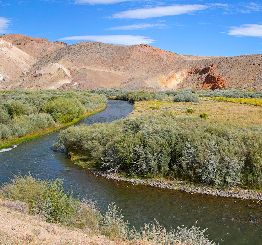 Walker River State Recreation Area