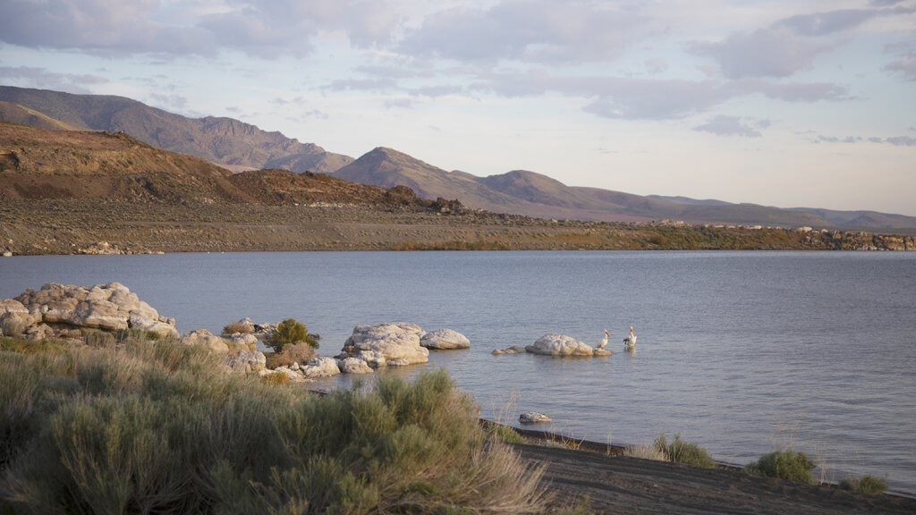 Anaho Island National Wildlife Refuge