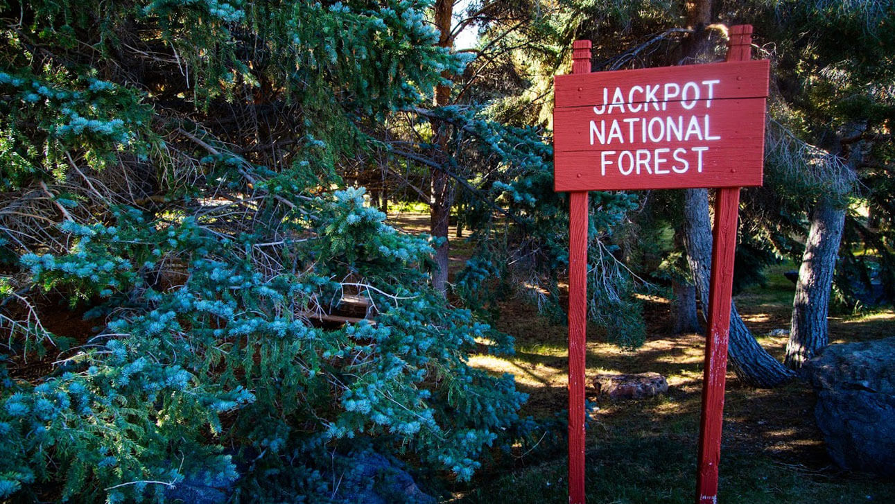 Jackpot “National” Forest