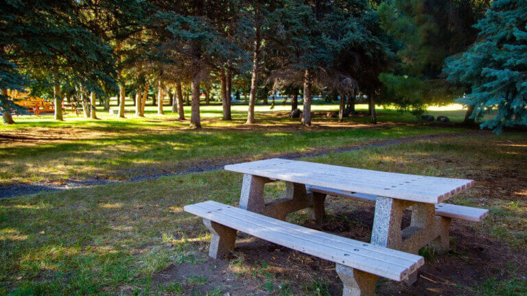 picnic area at jackpot national forest