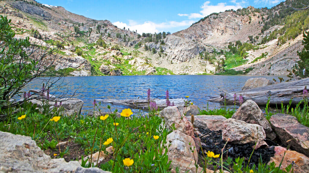 ruby crest trail lake and wildlife