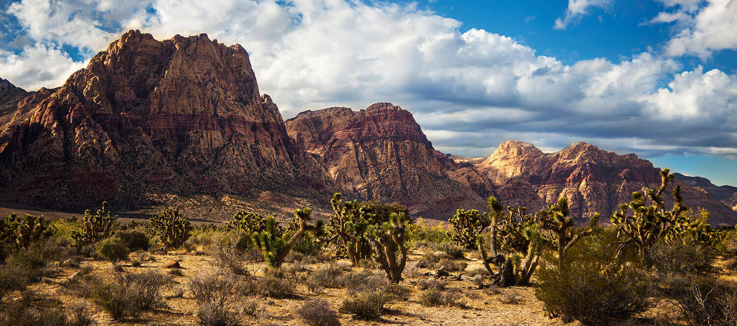 Trips from Las Vegas | Neon to Nature Scenic Drives