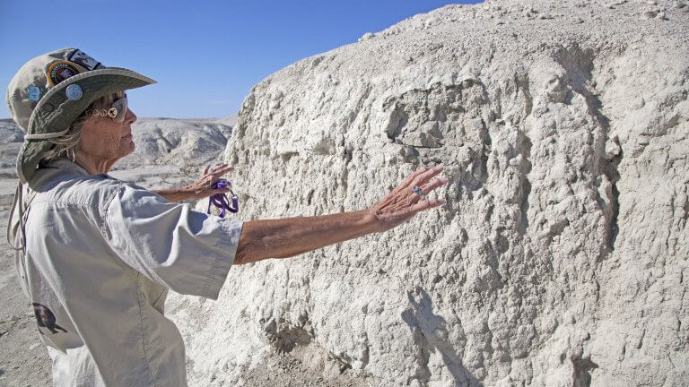 visitor to the ice age fossil las vegas state park examining a rock