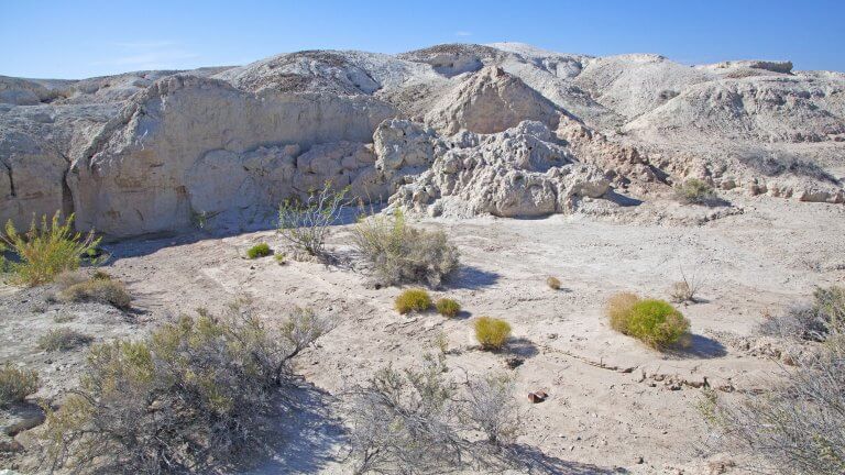 bushes in the desert of the ice age fossils state park