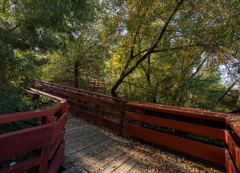 oxbow nature study area reno nevada