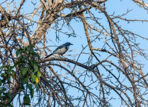 Hiking Near Reno | Explore Hikes in Reno | Travel Nevada