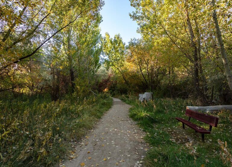 oxbow nature study area reno nevada