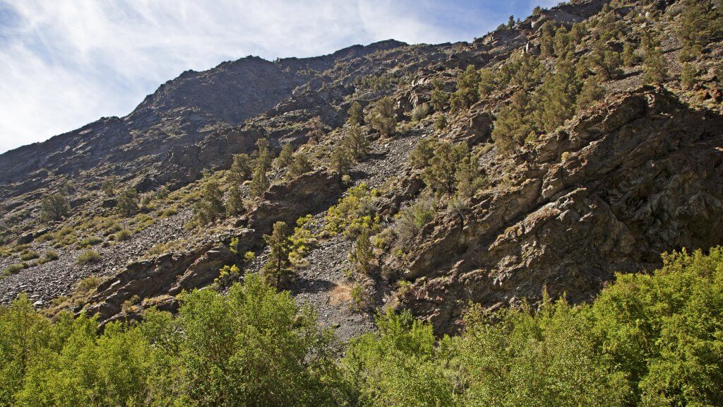 kingston canyon