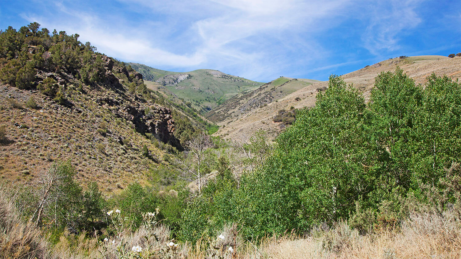 Kingston Canyon Campground HumboldtToiyabe National Forest