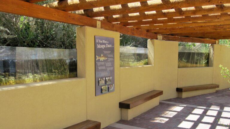 Moapa Valley National Wildlife Refuge exhibit