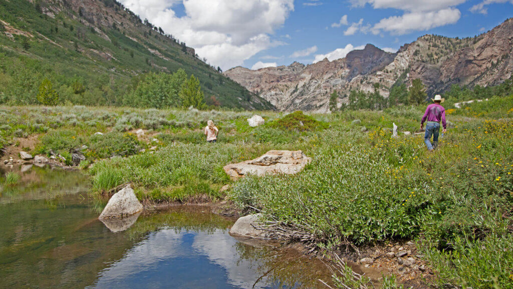 people exploring lamoille canyon beaver ponds