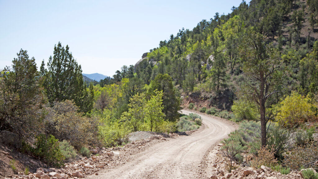 The road to Beaver Dam State Park