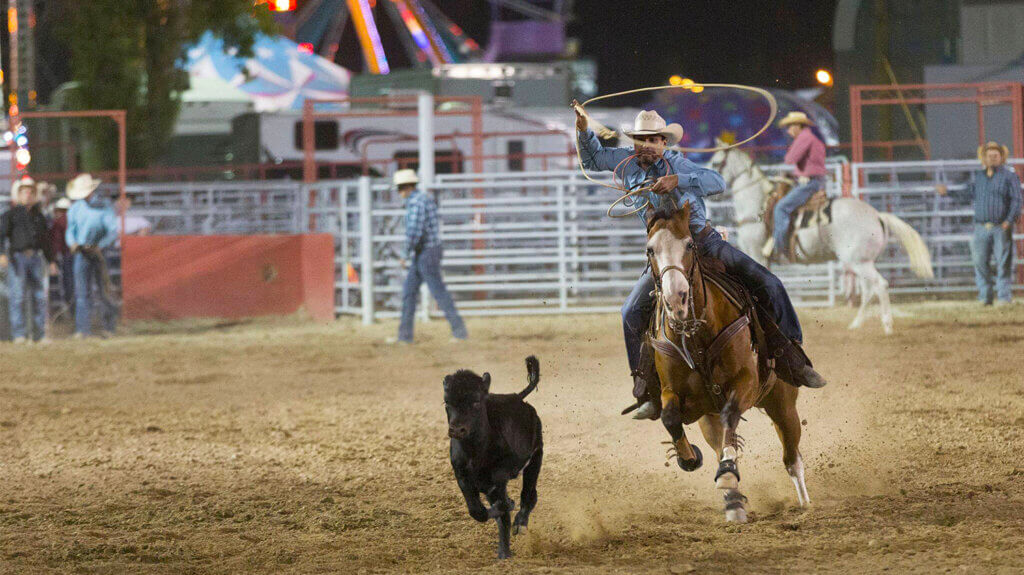 fall festival pahrump