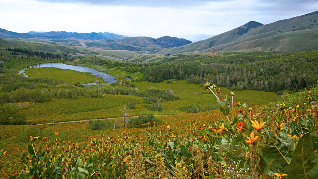 Jarbidge Wilderness Area