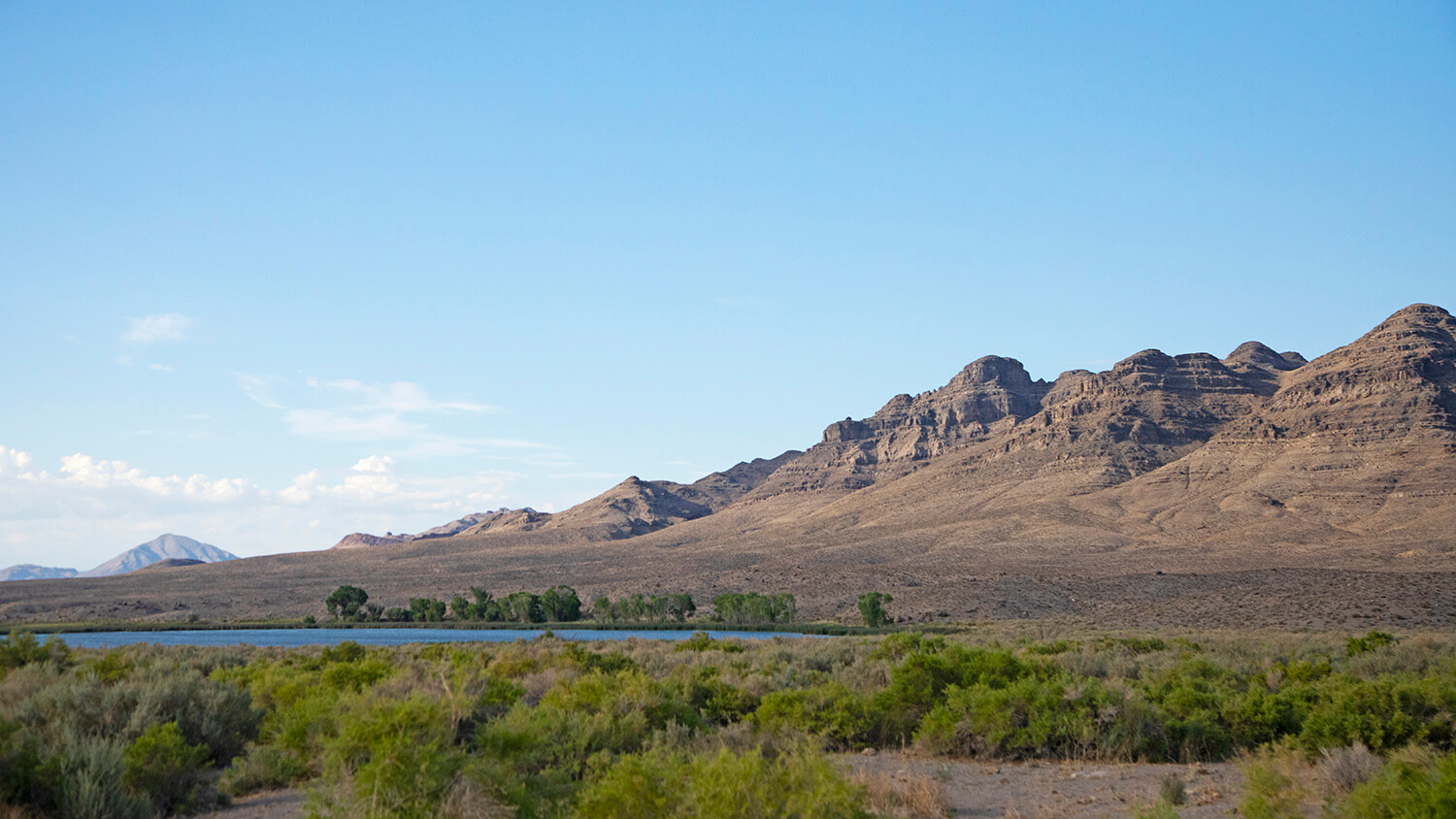 Key Pittman Wildlife Management Area