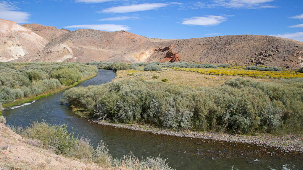 the elbow at walker river