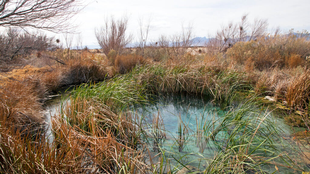 Warm Springs Pools 