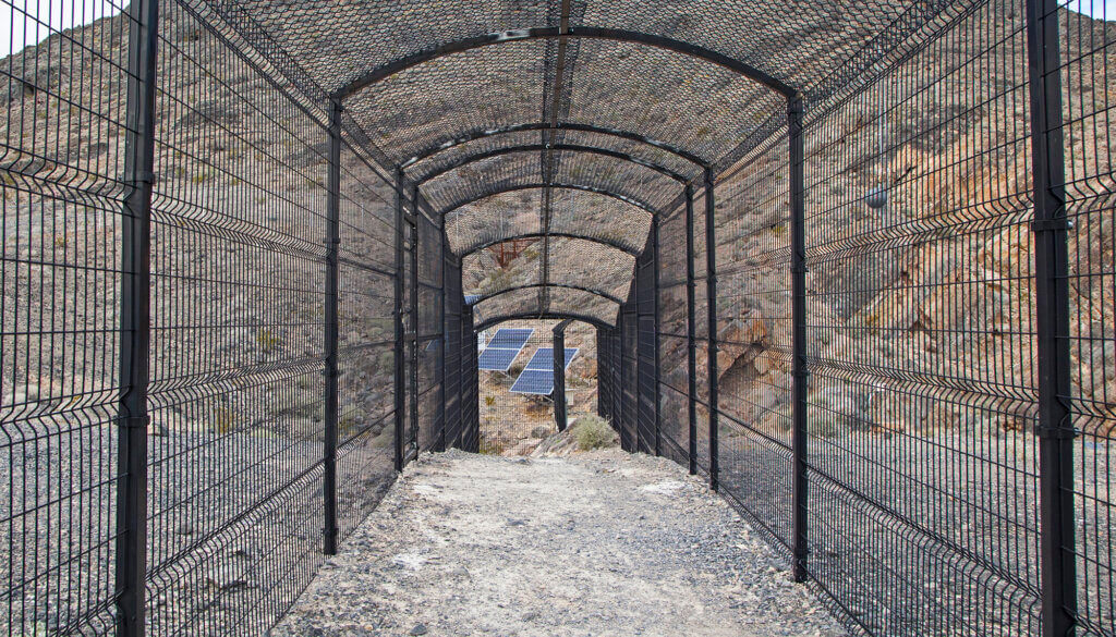 Walkway to Devils Hole Vantage Point