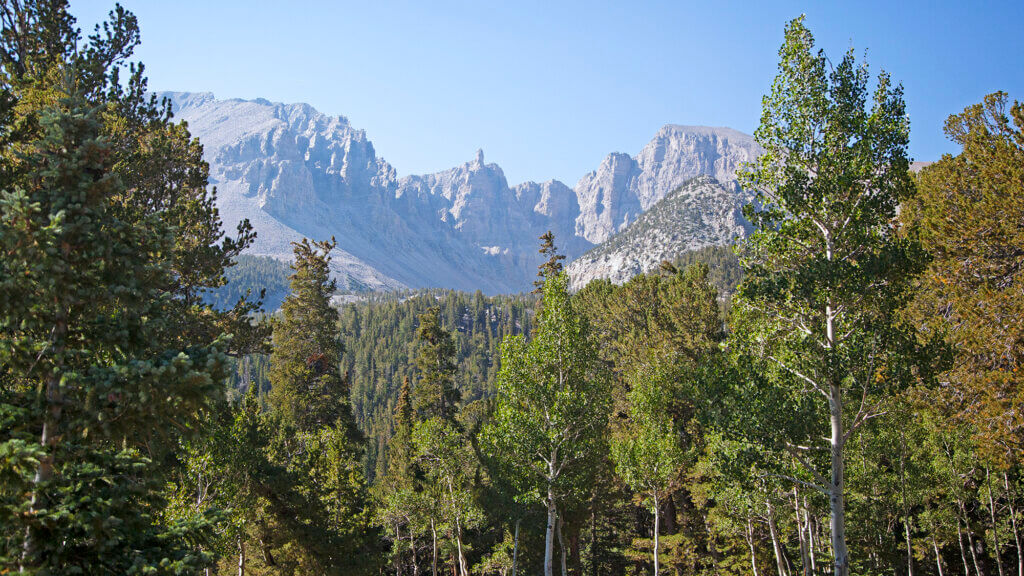 wheeler peak campground