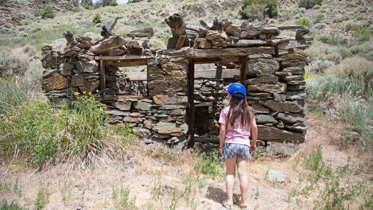 destroyed building at ophir mill ghost town