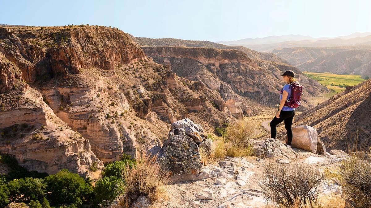 Rainbow Canyon at Kershaw-Ryan State Park, Caliente