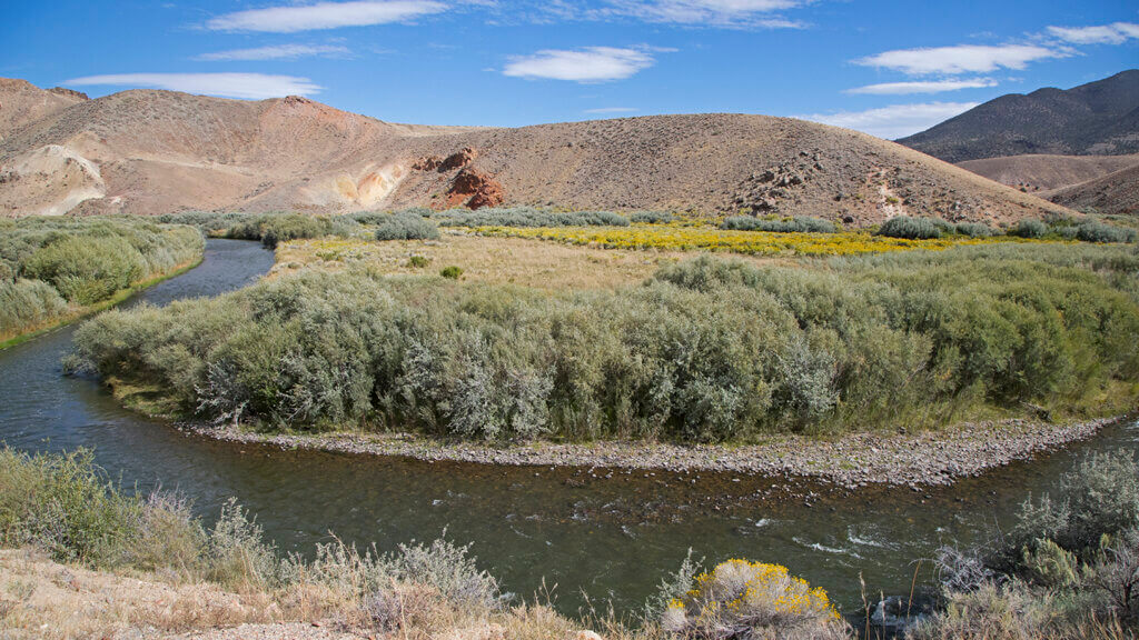 elbow unit of the east walker river