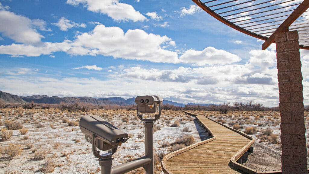 ash meadows boardwalks