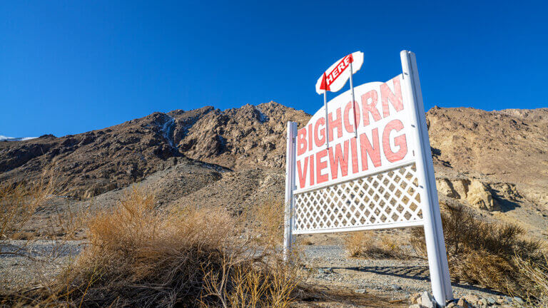 sign for big horn viewing