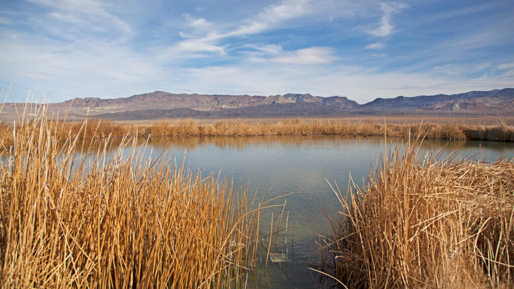 fish lake valley natural marshes