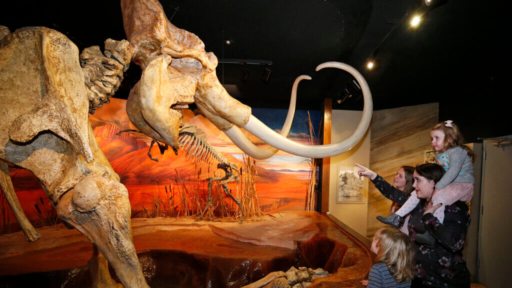 wooly mammoth found near the black rock desert