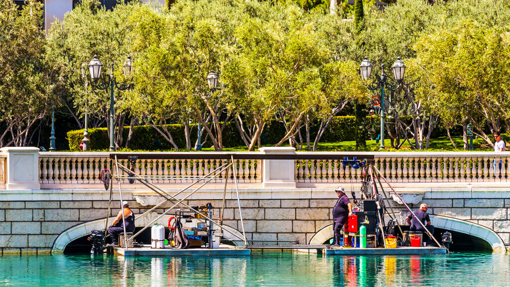 Bellagio Fountains Diving Team