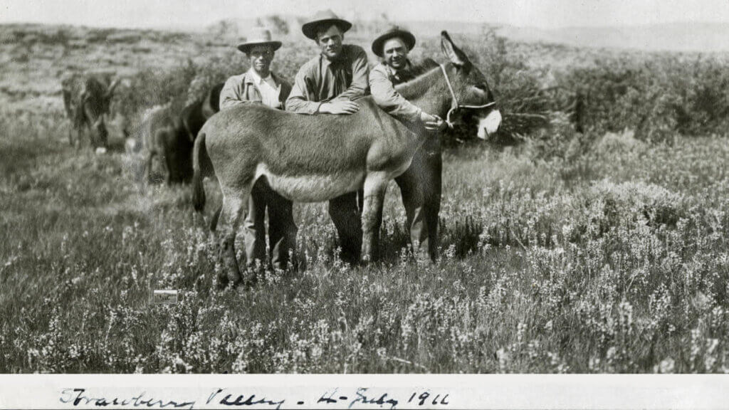 Prospectors and their Burro friend on the Nevada frontier