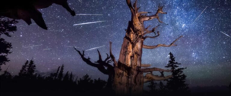 Nevada Stargazing