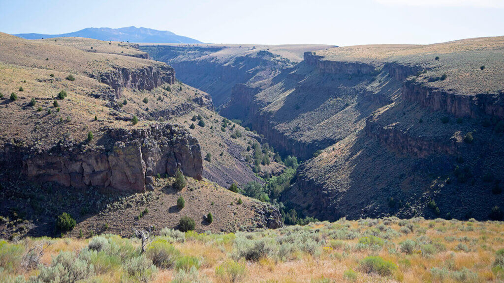 jarbidge river canyon