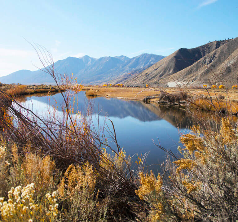 Genoa Nevada Things To Do in Genoa NV Annual Candy Dance
