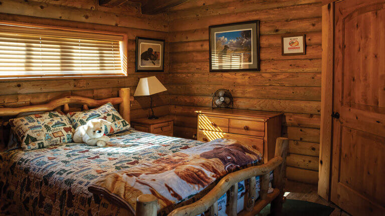 bedroom at kingston cabin near austin nv