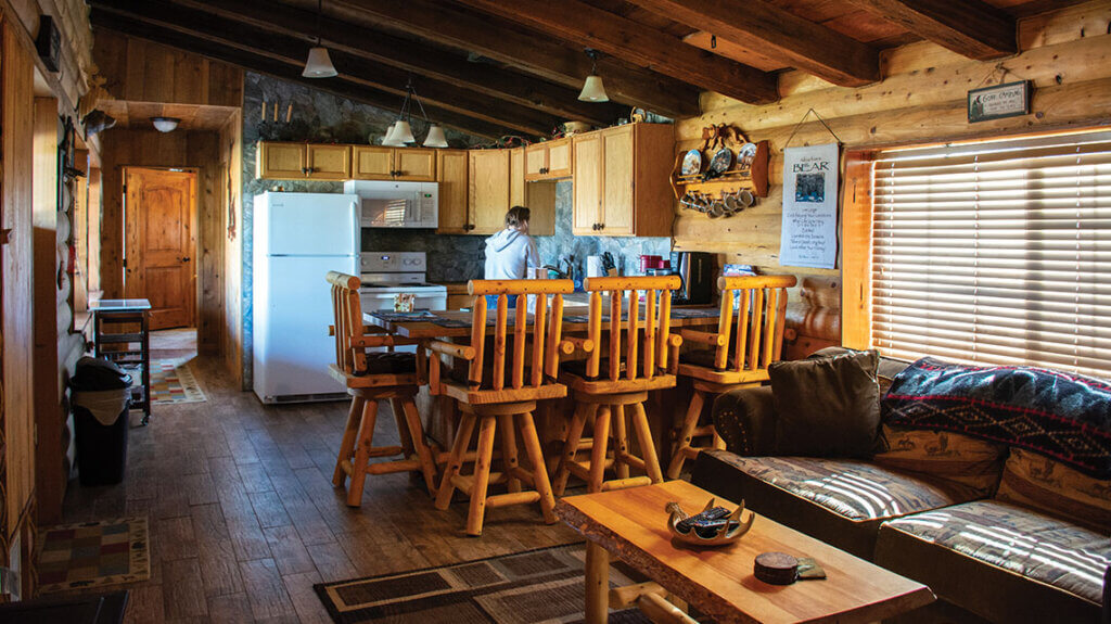 kitchen and living room inside kingston cabin near austin nv