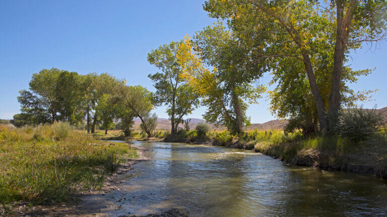 Walker River State Recreation Area | Walker River Camping