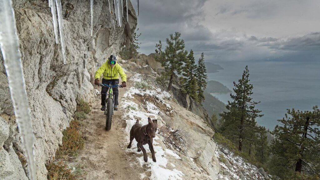 man biking with his dog along the tahoe flume trail