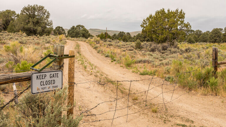 Bob Scott Campground road