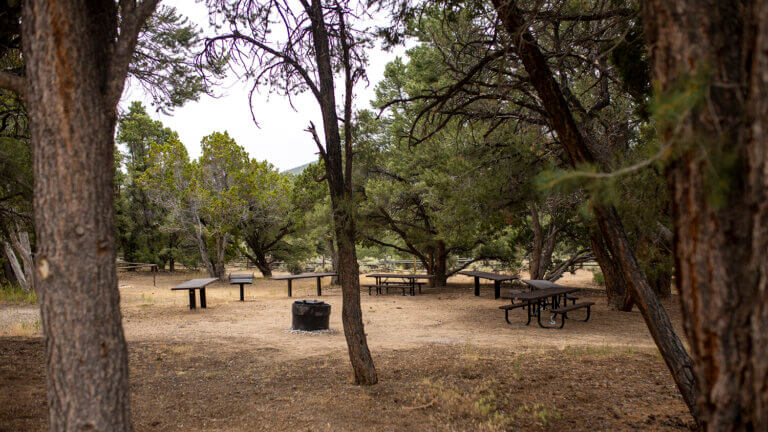 campground at Bob Scott Campground