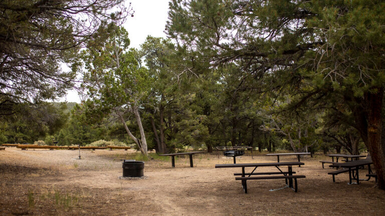 campsite Bob Scott Campground