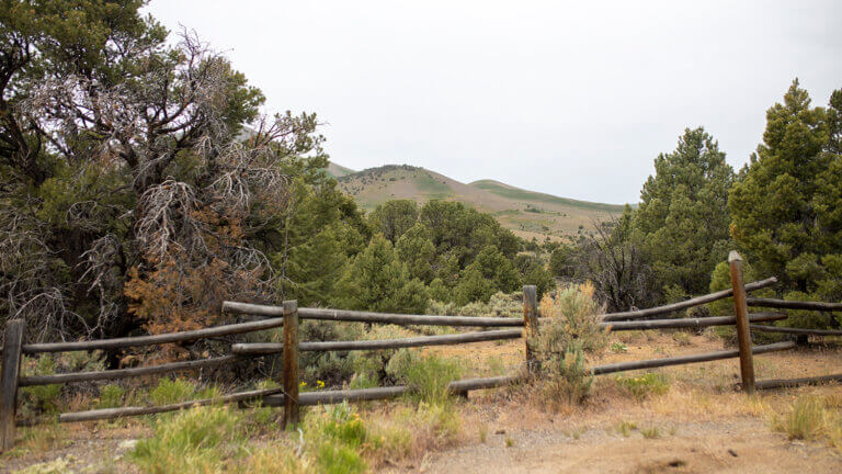 fence at Bob Scott Campground