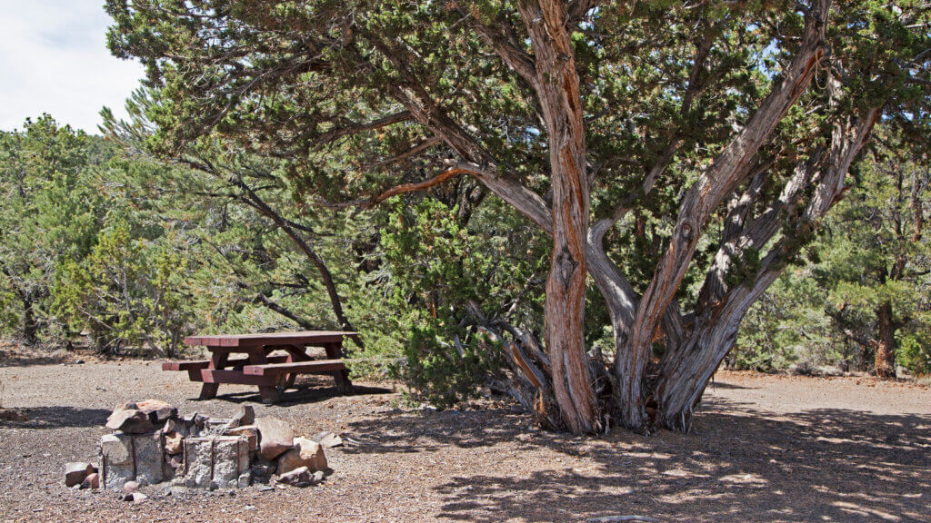 picnic table at toquima cave campgrounds