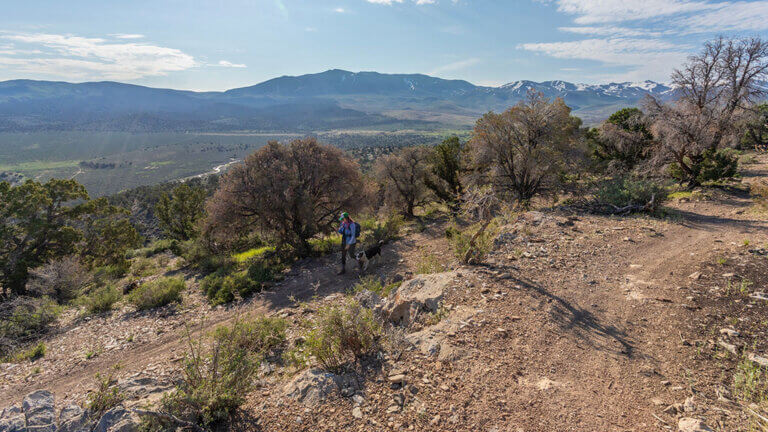 hiker and dog on the pinyon trail in gardnerville