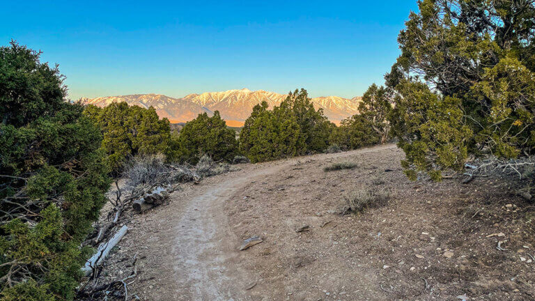 pinyon trail gardnerville